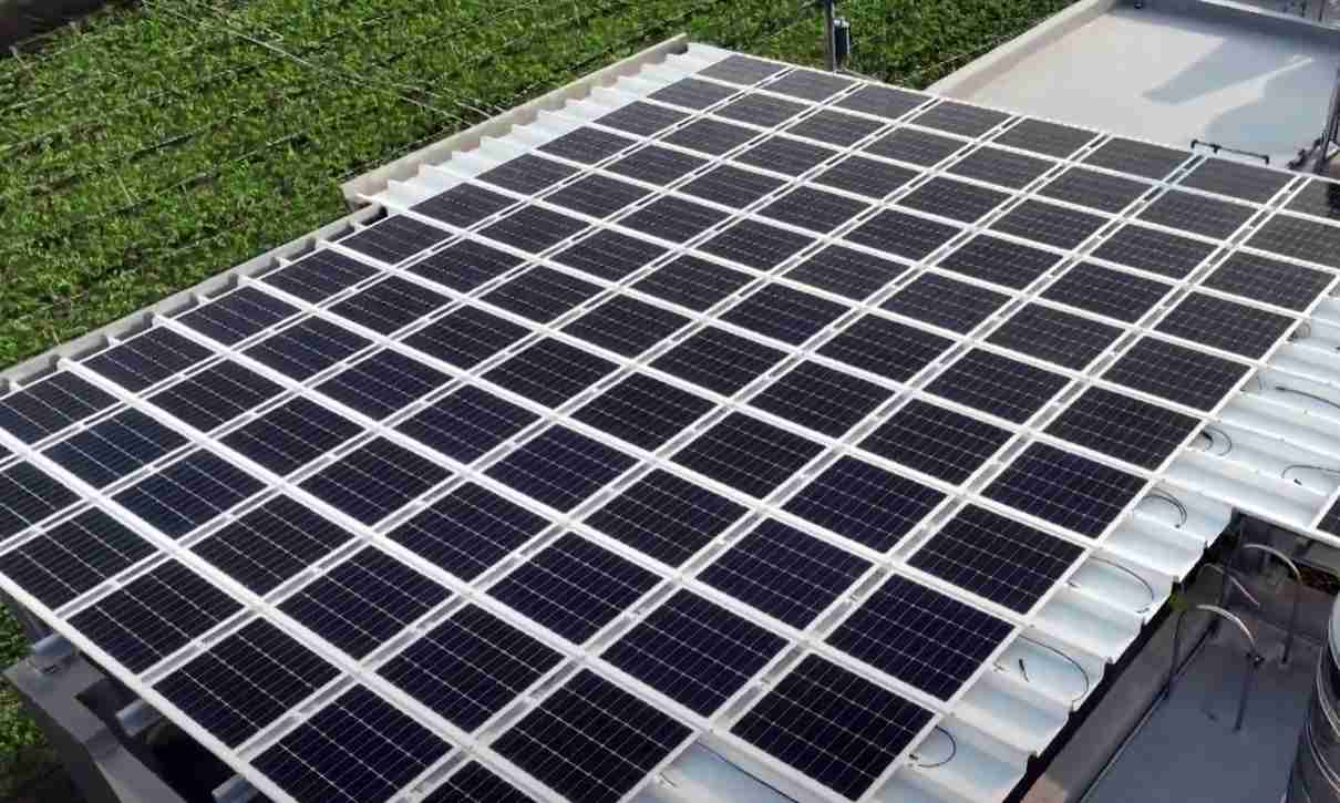 传奇国际SunSteel光电浪板升级双玻结构，，，，以提升机械负载强度及气候耐候度，，，，可广泛运用于多元场域